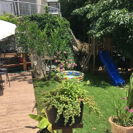 Oasis